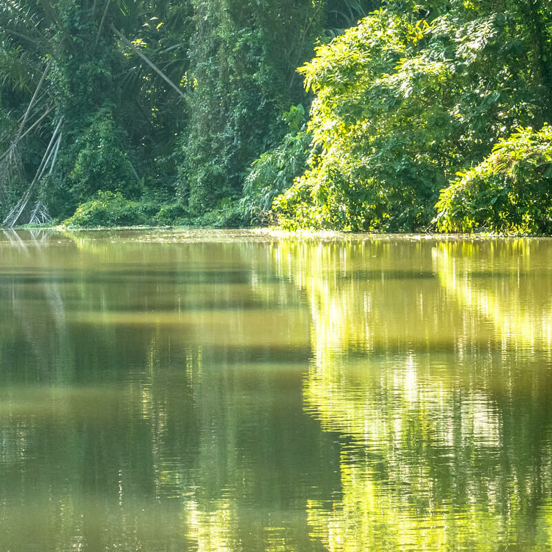 Tortuguero Costa Rica
