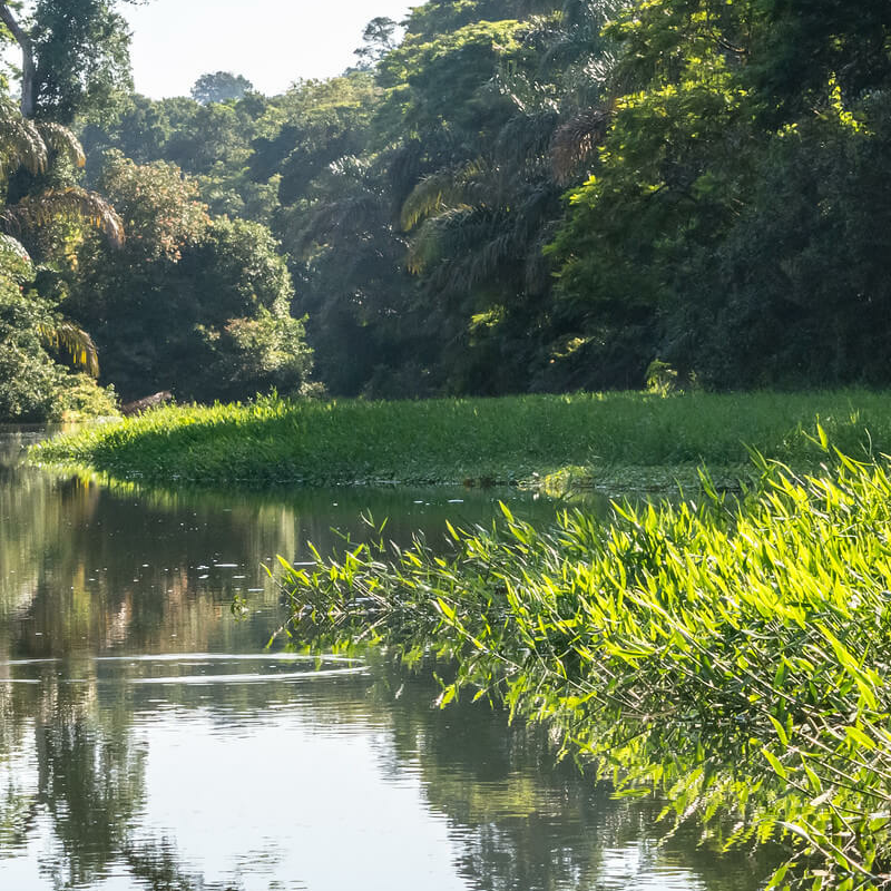 Tortuguero Costa Rica