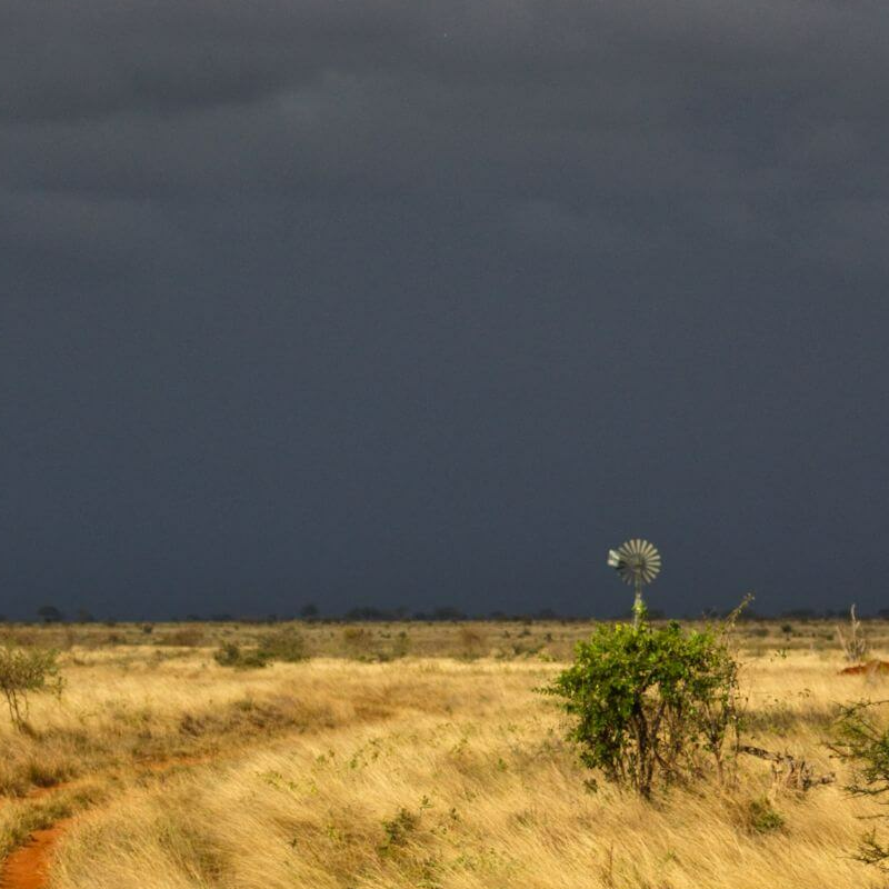 Tsavo Ost