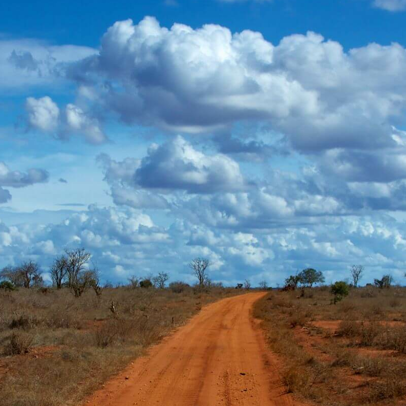 Tsavo Ost