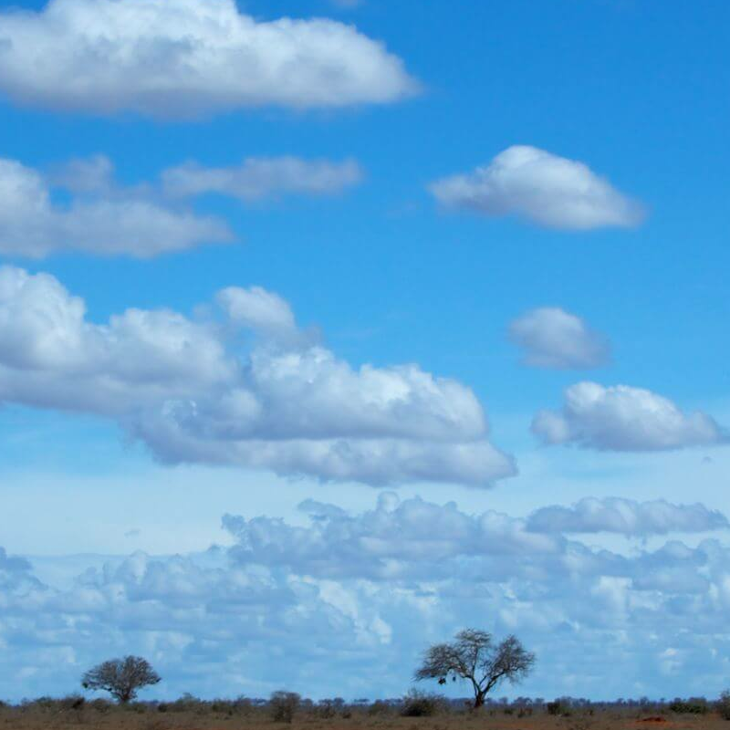 Tsavo Ost