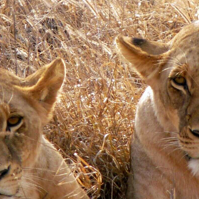 Tsavo West
