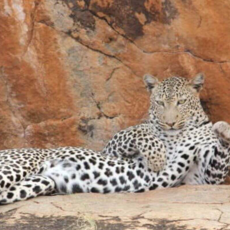 Tsavo West