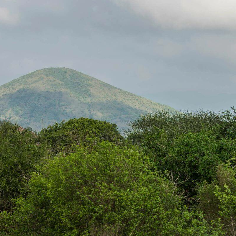 Tsavo West