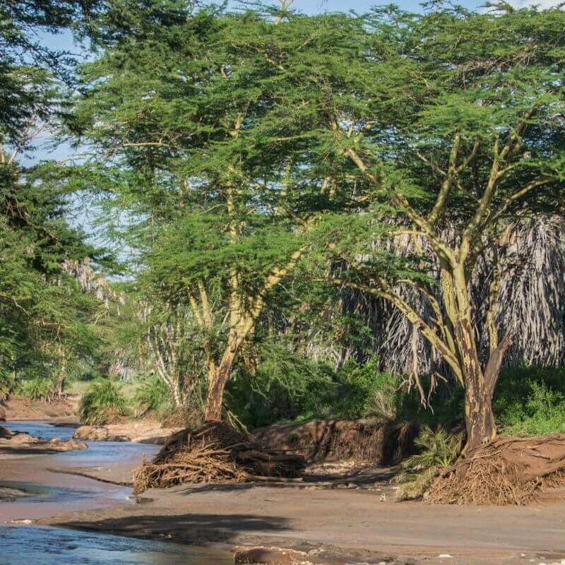 Tsavo West
