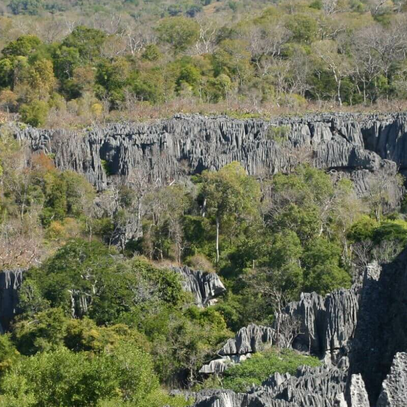 Tsingy de Bemaraha