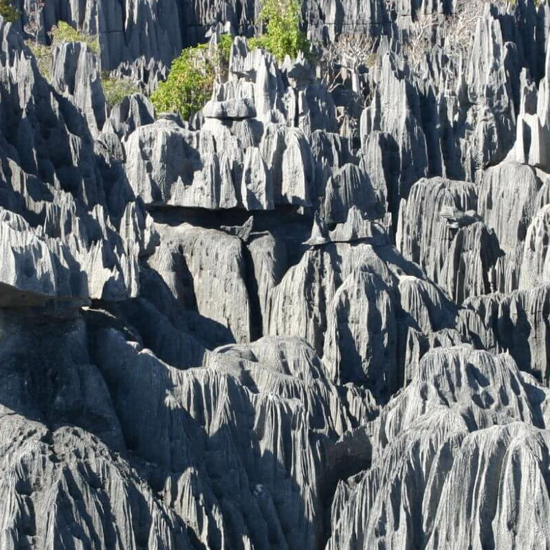Tsingy de Bemaraha