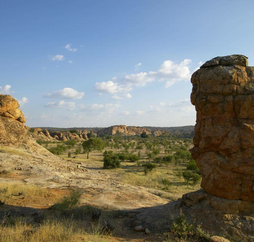 Tuli Block