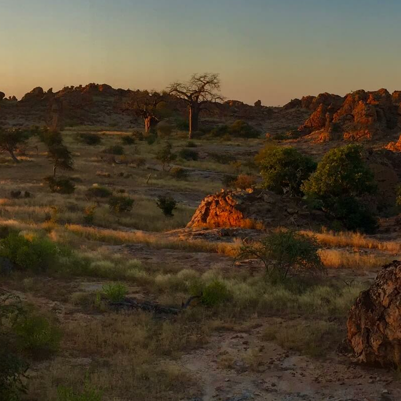 Tuli Block