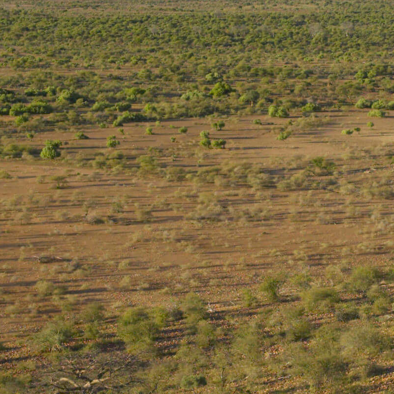 Tuli Block