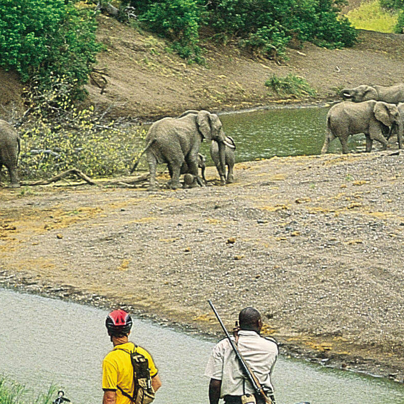 Tuli Block