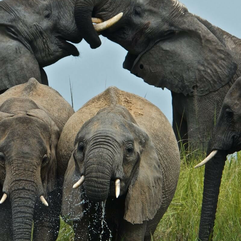 Uganda