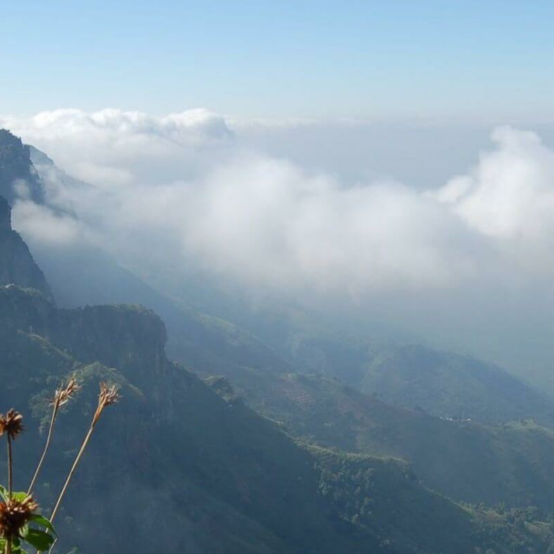 Usambara Berge