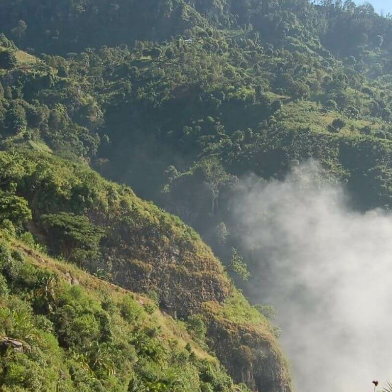 Usambara Berge