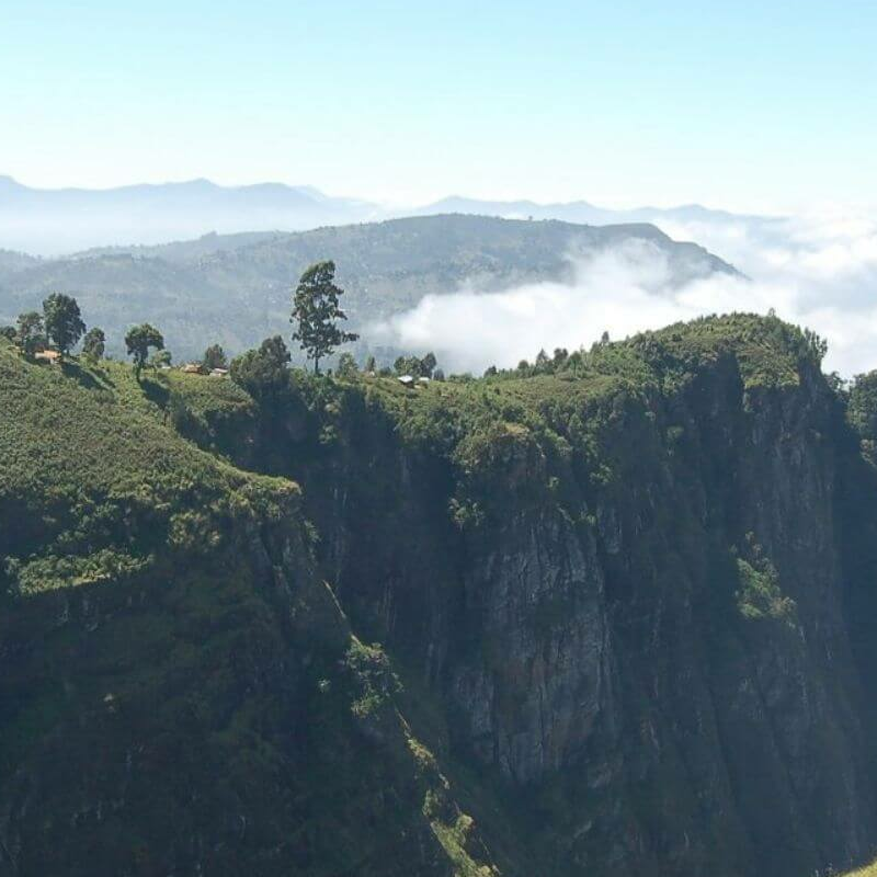 Usambara Berge