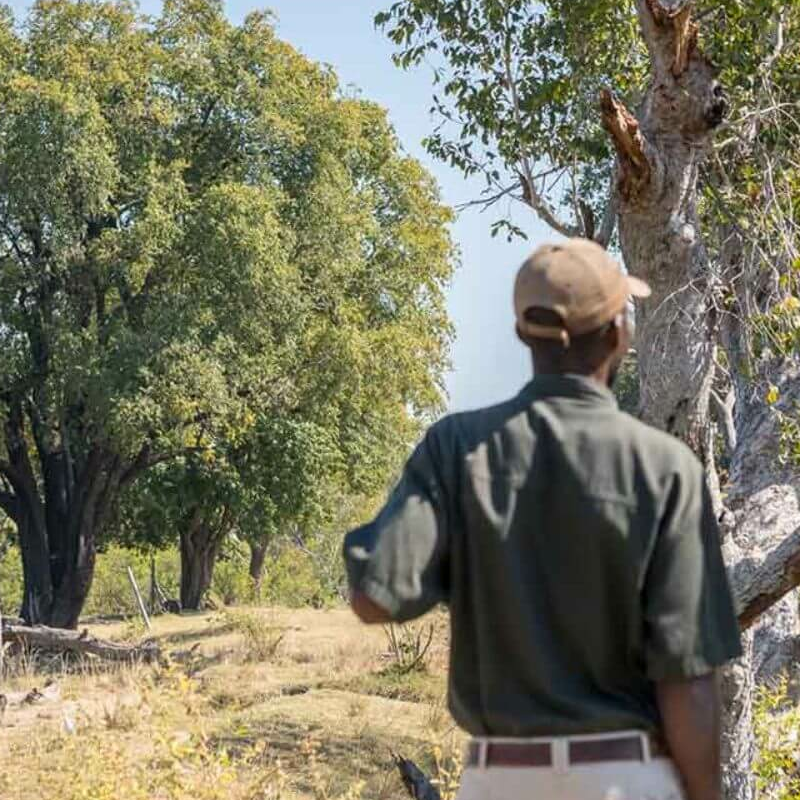 Vic Falls (Sambia)