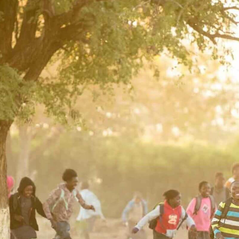 Vic Falls (Sambia)
