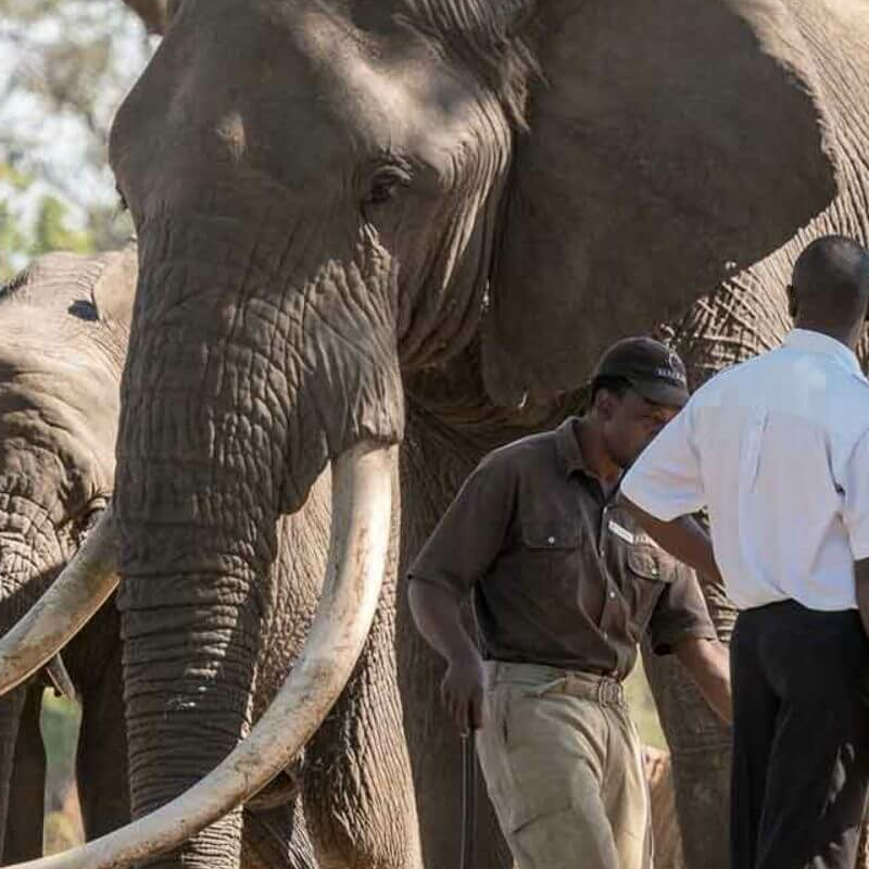 Vic Falls (Sambia)