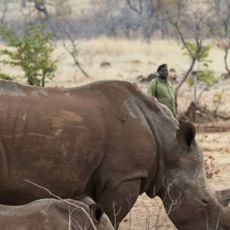 Vic Falls (Sambia)