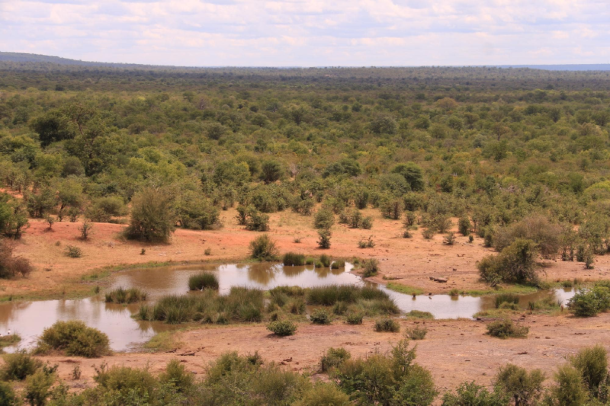 Simbabwe Incredible Safari