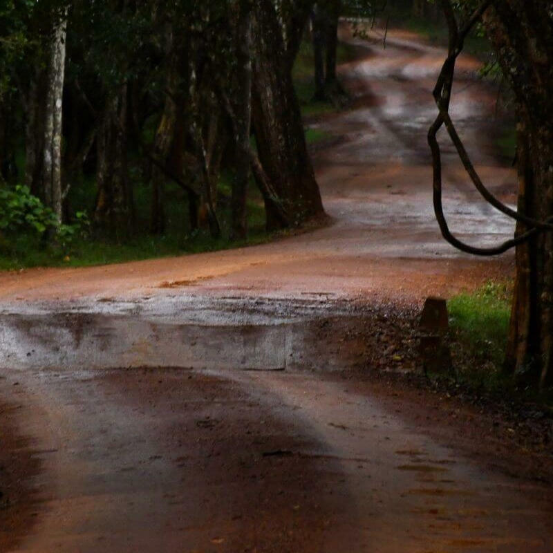 Wilpattu Nationalpark