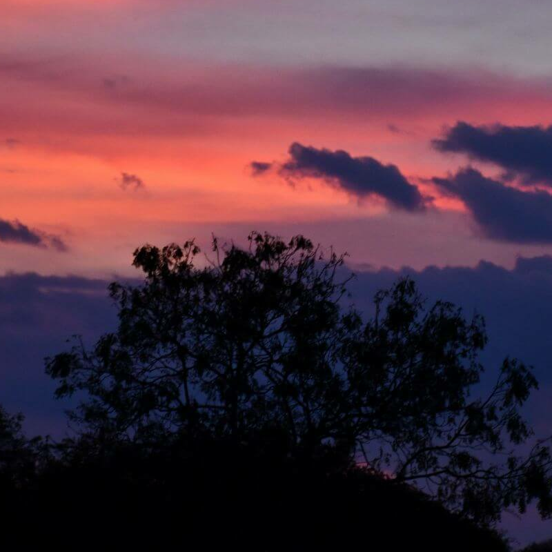 Wilpattu Nationalpark