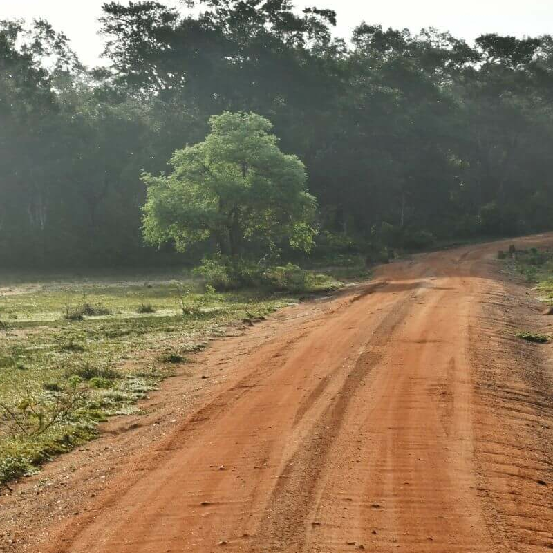 Wilpattu Nationalpark