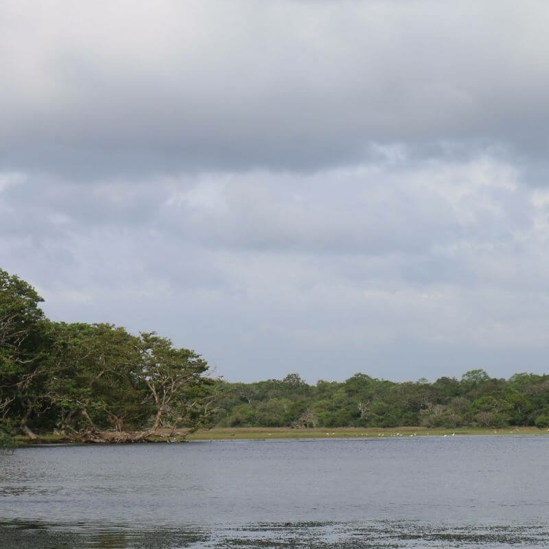 Wilpattu Nationalpark