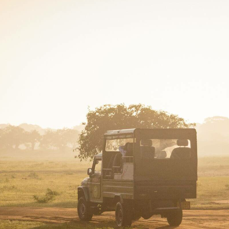 Yala Nationalpark