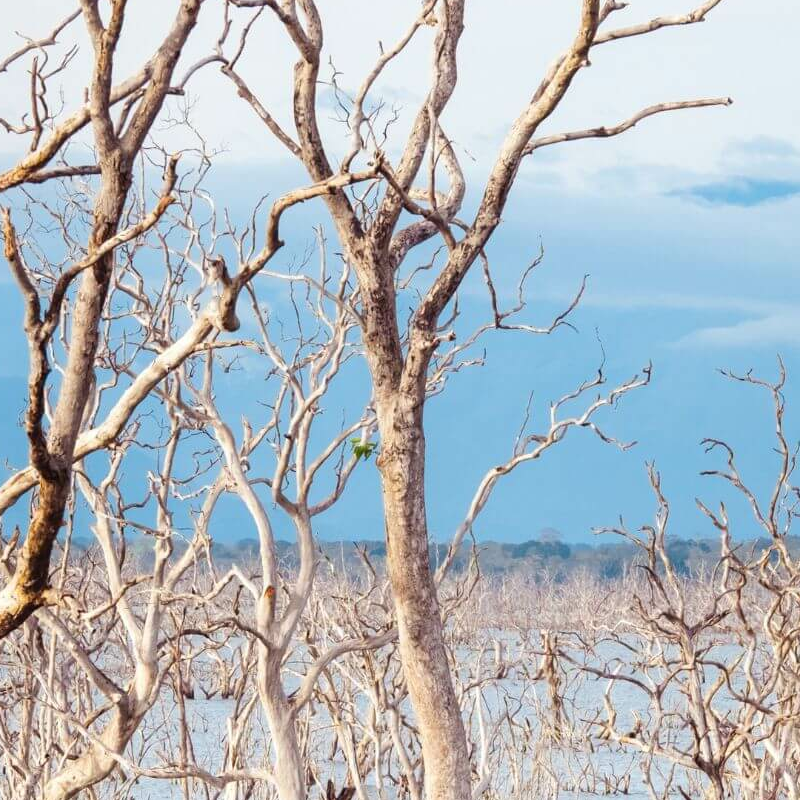 Yala Nationalpark