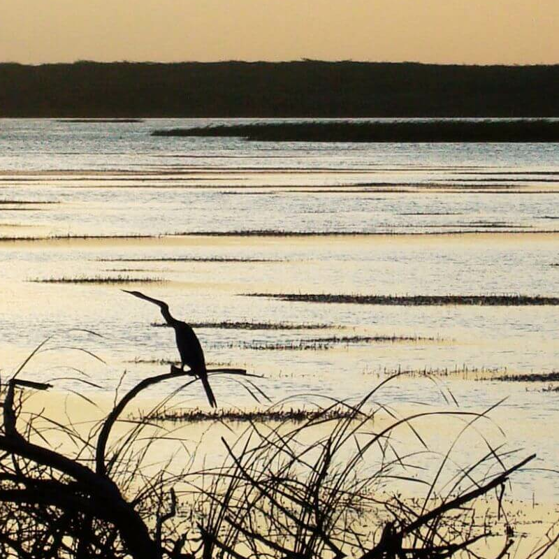 Yala Nationalpark