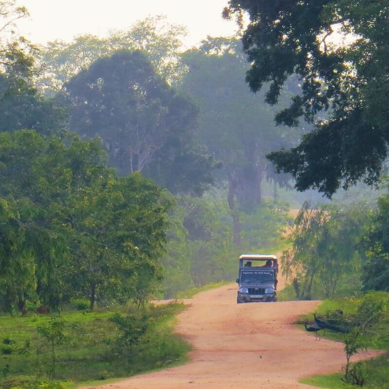 Yala Nationalpark