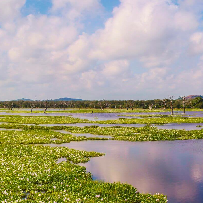 Yala Nationalpark
