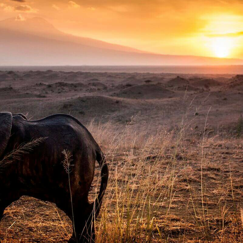 Africa Amini Maasai Lodge