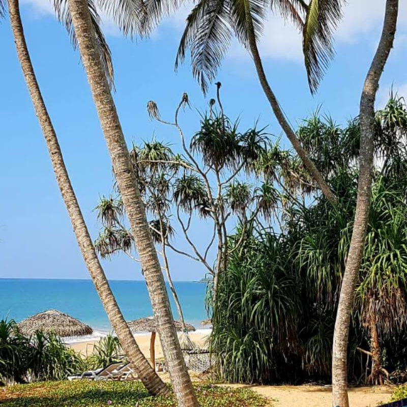 Ananya Beach Resort
