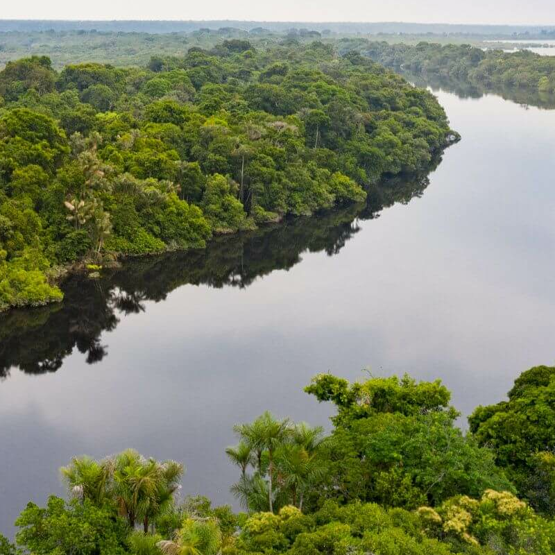 Anavilhanas Jungle Lodge