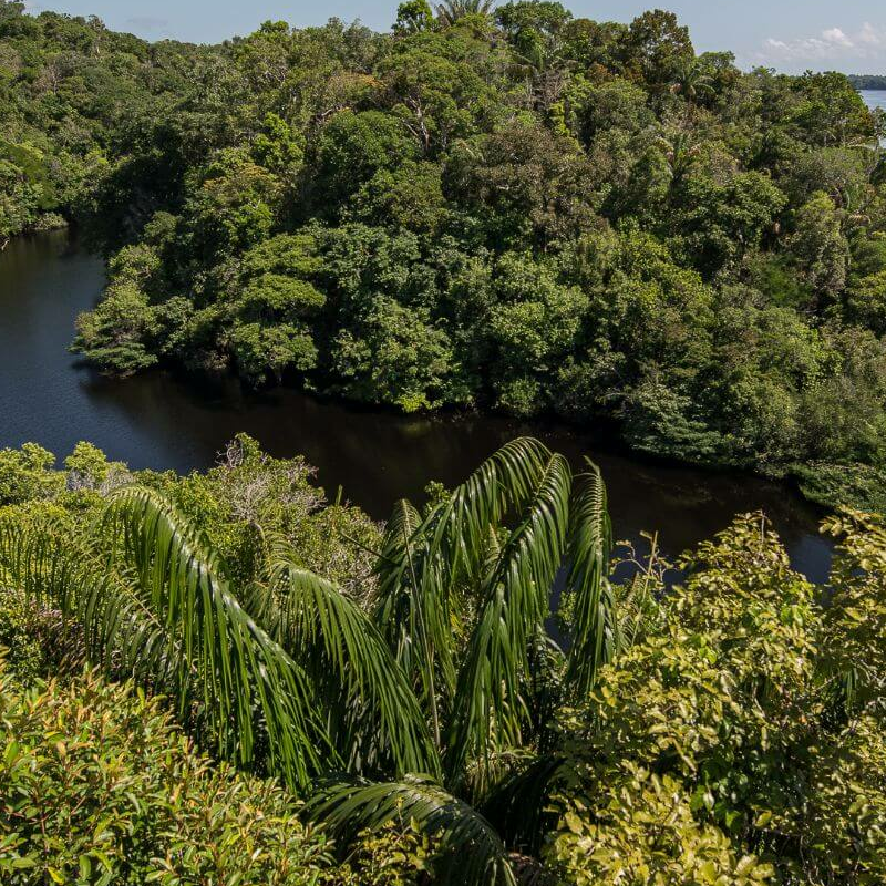Anavilhanas Jungle Lodge