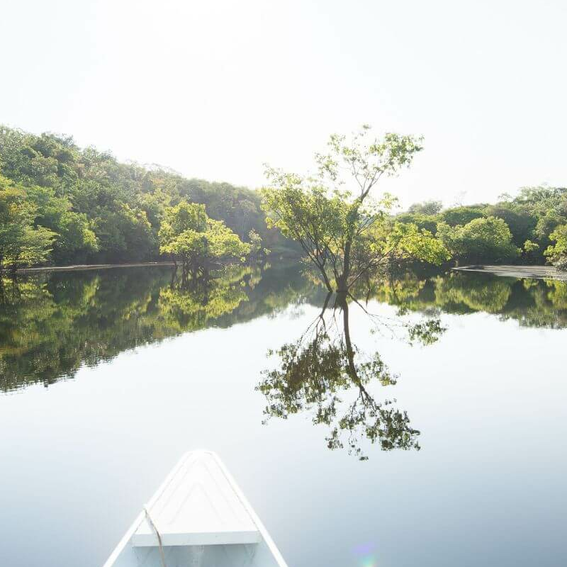 Anavilhanas Jungle Lodge
