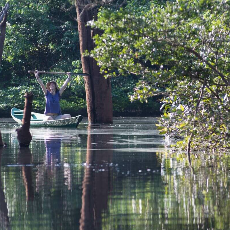 Anavilhanas Jungle Lodge