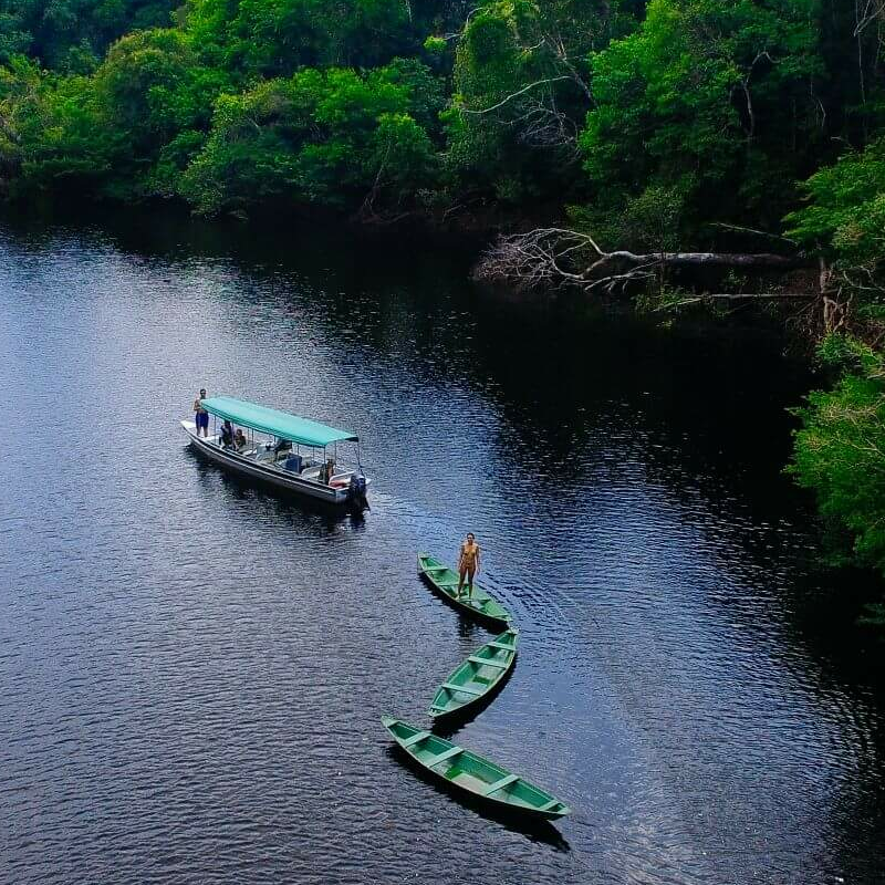 Anavilhanas Jungle Lodge
