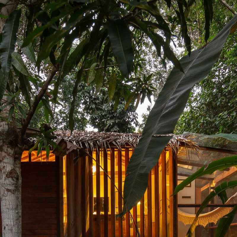 Anavilhanas Jungle Lodge