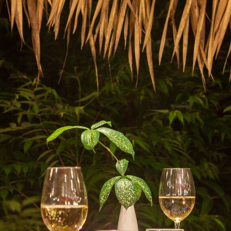 Anavilhanas Jungle Lodge