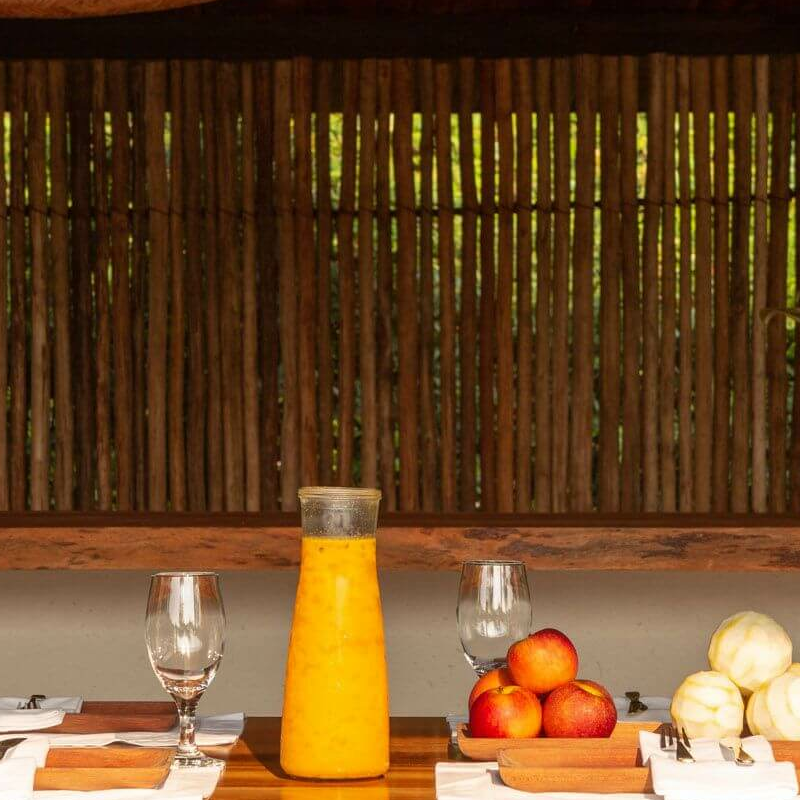 Anavilhanas Jungle Lodge