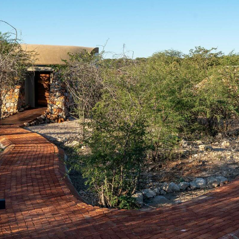 Anderssons at Ongava Camp