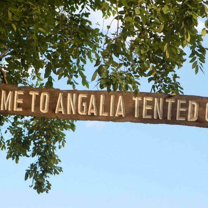 Angalia Tented Camp