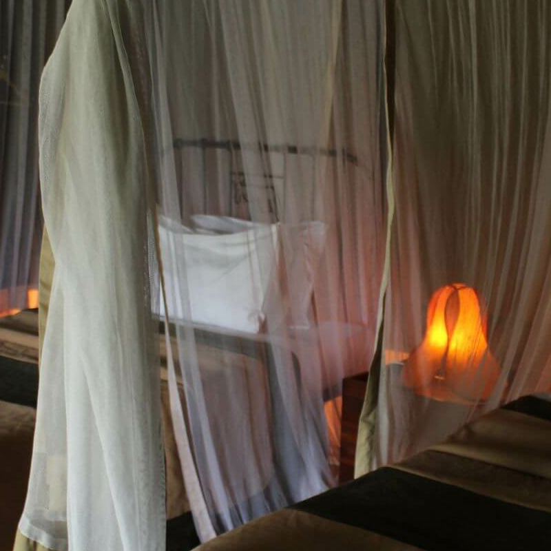 Angata Ndutu Camp