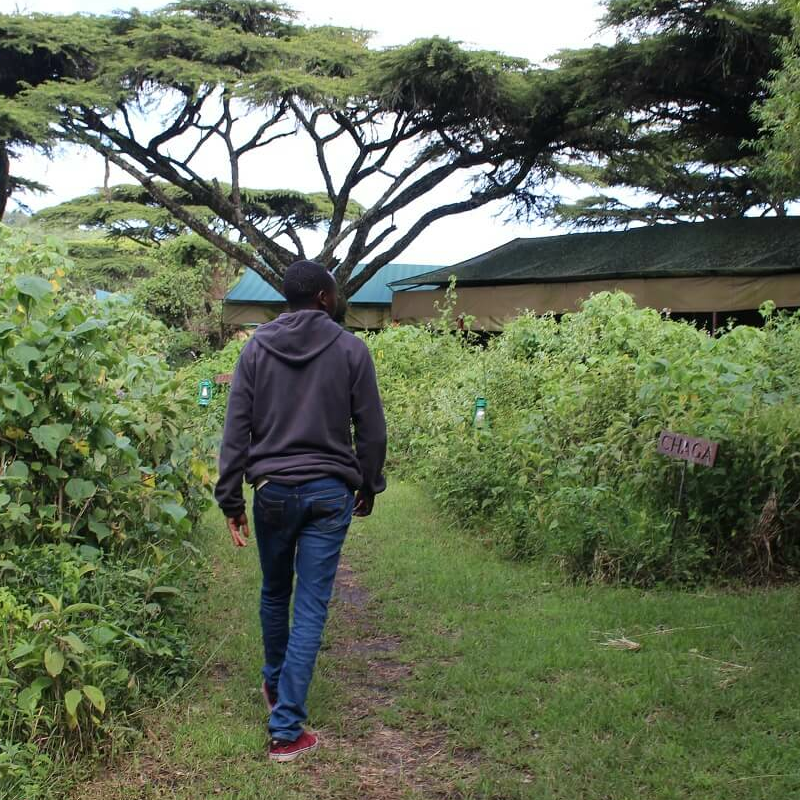 Ang’ata Tarangire Camp