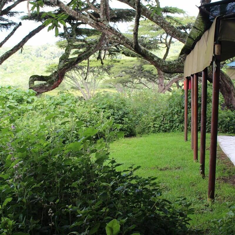 Ang’ata Tarangire Camp