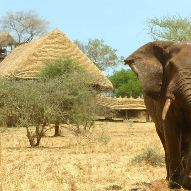 Apoka Safari Lodge