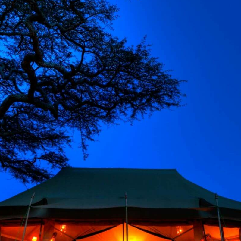 Asanja Camp